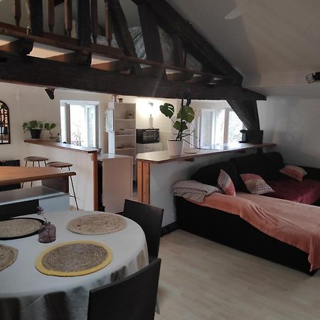 Appartement De Charme Coeur Historique Périgueux Zewnętrze zdjęcie