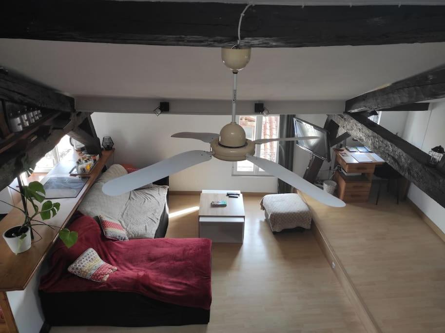 Appartement De Charme Coeur Historique Périgueux Zewnętrze zdjęcie