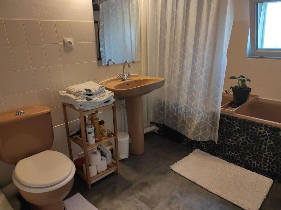 Appartement De Charme Coeur Historique Périgueux Zewnętrze zdjęcie